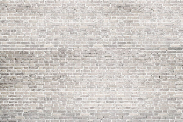 Pared de ladrillo blanco con ladrillos grises Pared de ladrillo blanco con ladrillos grises