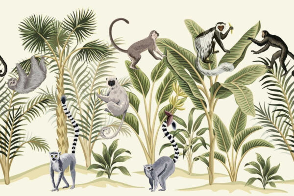 Grupo de monos y plantas Grupo de monos y plantas