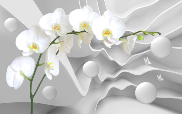Orquídeas blancas y bolas blancas Orquídeas blancas y bolas blancas