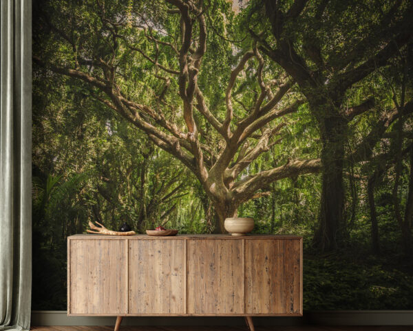 Árbol grande en un bosque Árbol grande en un bosque