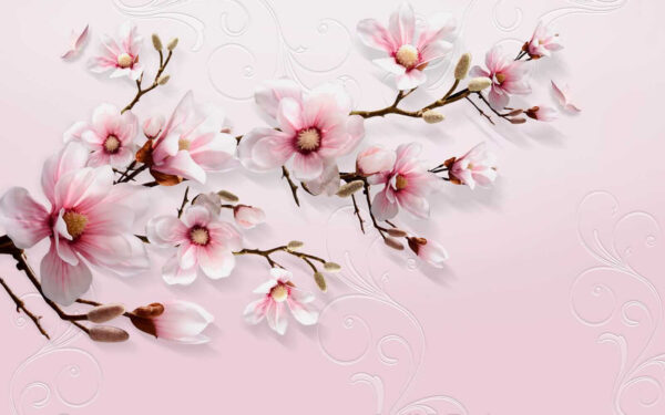 Delicadas flores sobre un fondo rosa suave Delicadas flores sobre un fondo rosa suave