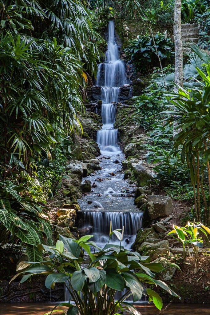 Cascada en la selva Cascada en la selva