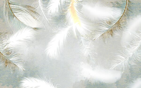 Plumas blancas en el cielo Plumas blancas en el cielo