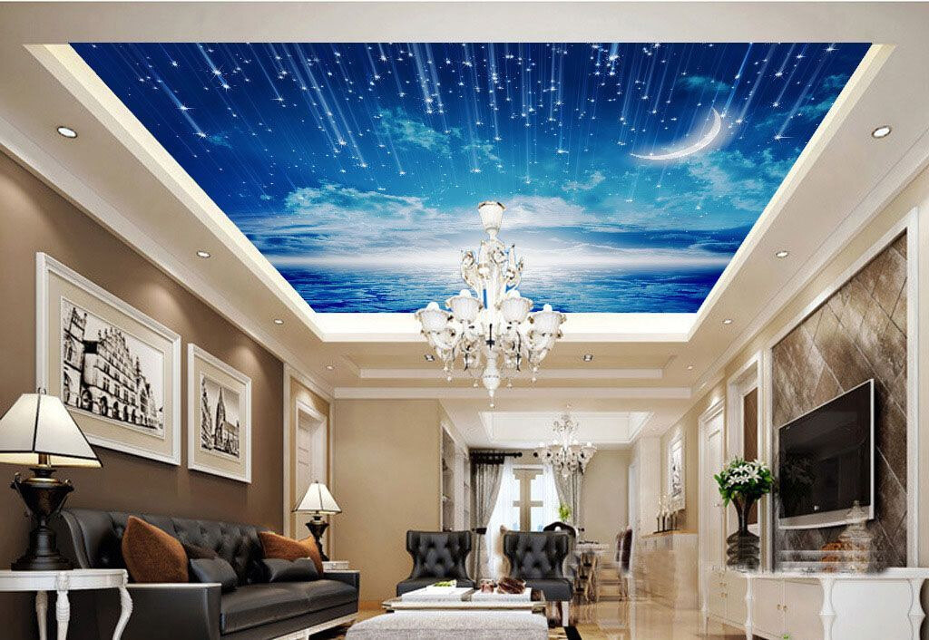 u44045pig1m - Luna y estrellas en el cielo - tegory
