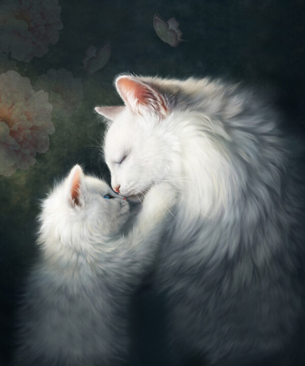 Gato y gatita besándose Gato y gatita besándose