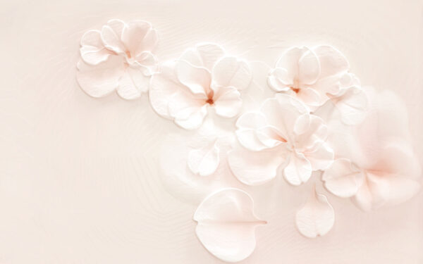 Grupo de flores blancas u37030p 600x375 - Grupo de flores blancas - tegory