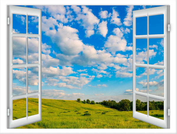 Ventana abierta con árboles y campo de hierba Ventana abierta con árboles y campo de hierba
