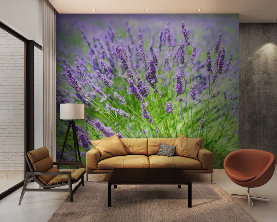 Vibrante campo de lavanda en flor