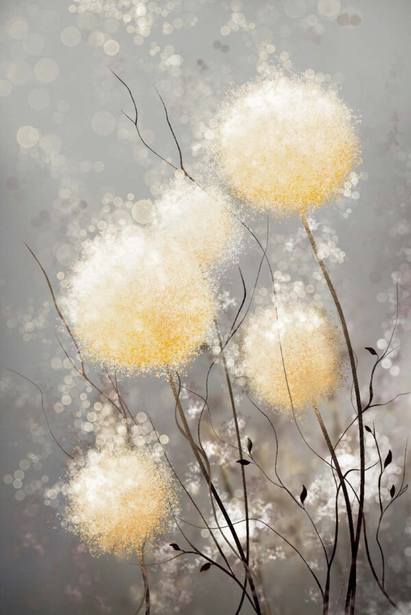 Grupo de flores blancas y amarillas Grupo de flores blancas y amarillas