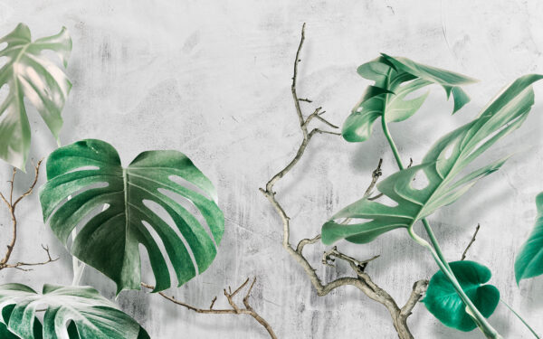 Lush leaves against a textured backdrop