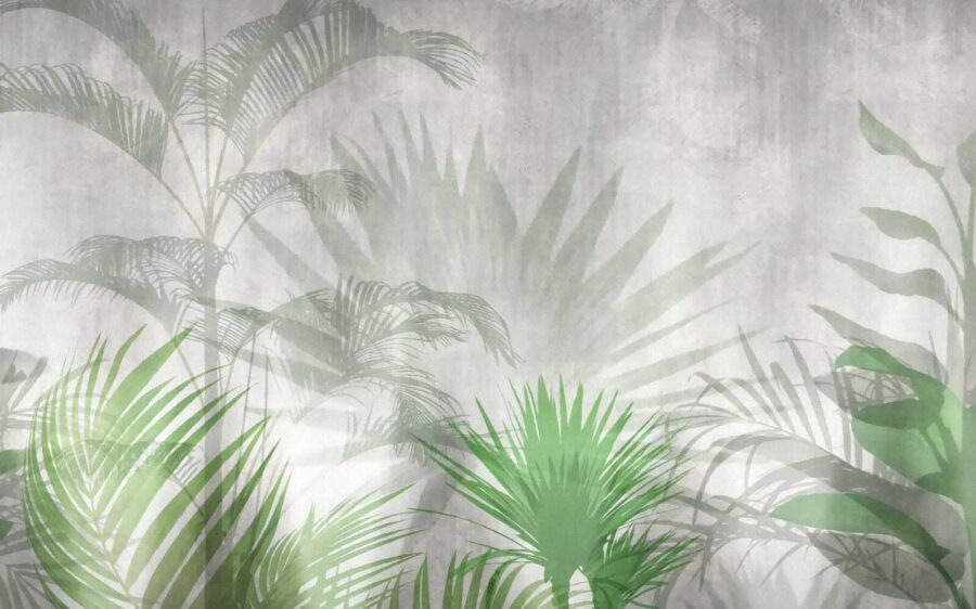 La sombra de una palmera