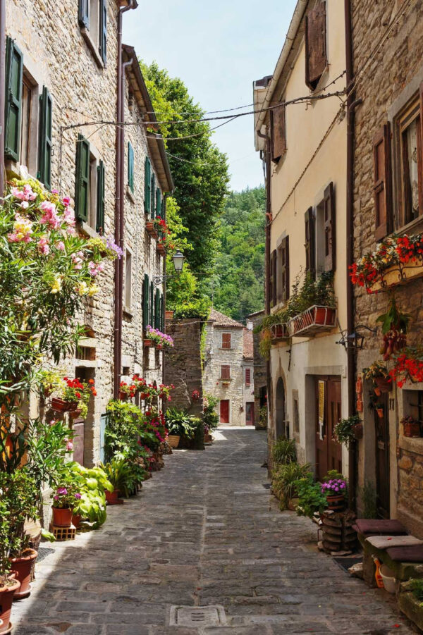 Calle estrecha con flores y plantas a los lados Calle estrecha con flores y plantas a los lados
