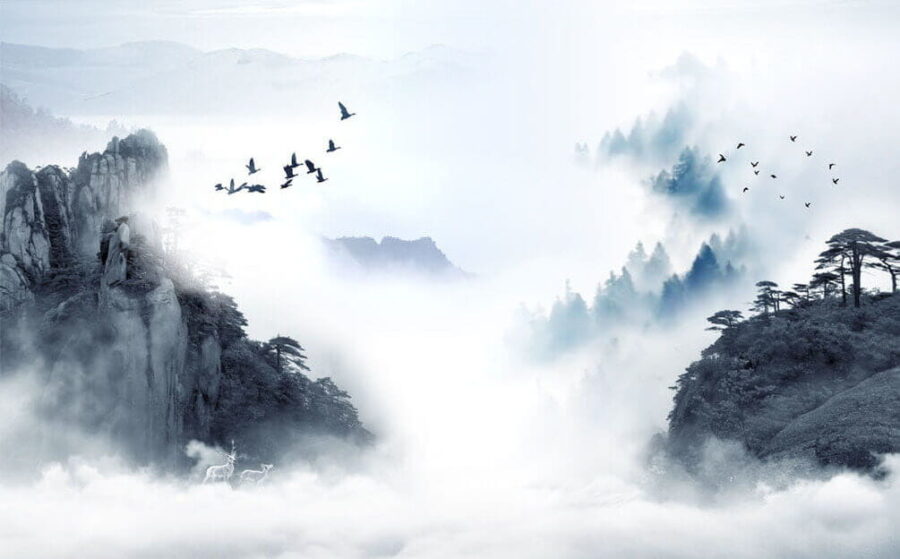 Pájaros volando sobre una montaña