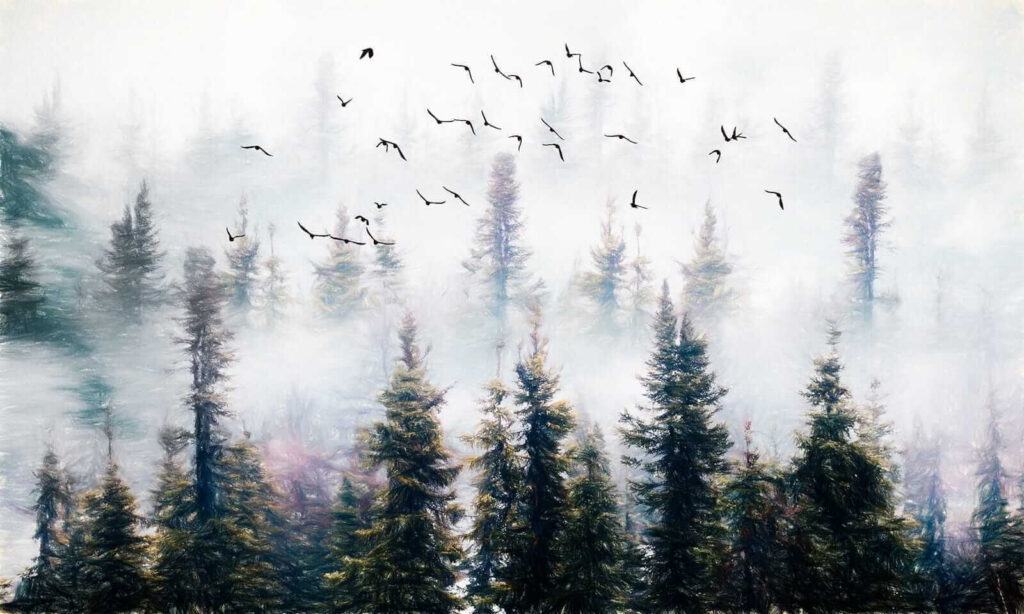 Pájaros volando en el cielo sobre los árboles Pájaros volando en el cielo sobre los árboles