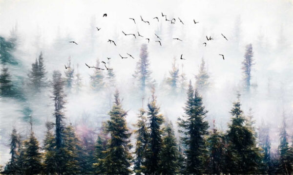Pájaros volando en el cielo sobre los árboles Pájaros volando en el cielo sobre los árboles