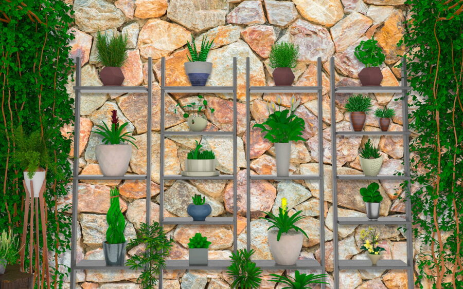 Grupo de plantas en estanterías