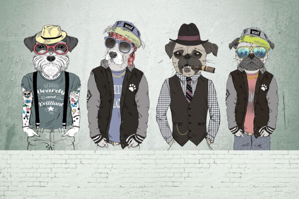 Grupo de perros con sombrero y gafas de sol Grupo de perros con sombrero y gafas de sol