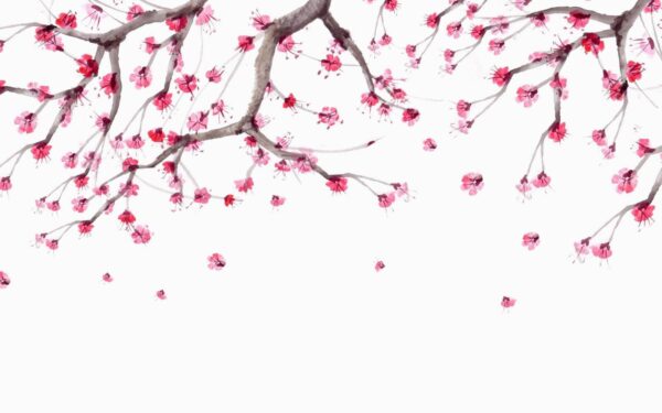 Árbol con flores rosas Árbol con flores rosas