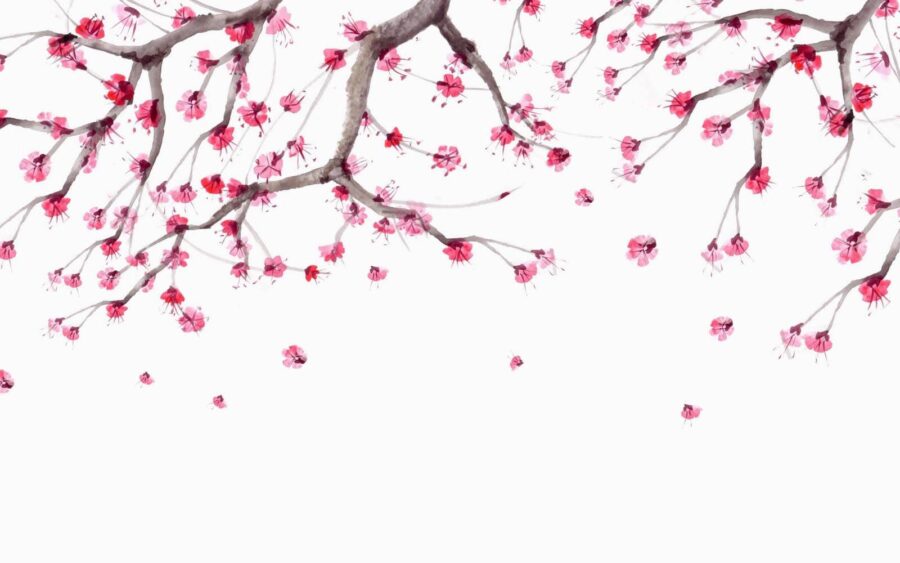 Árbol con flores rosas Árbol con flores rosas