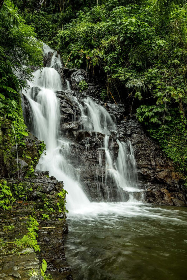 Cascada en medio de un bosque Cascada en medio de un bosque