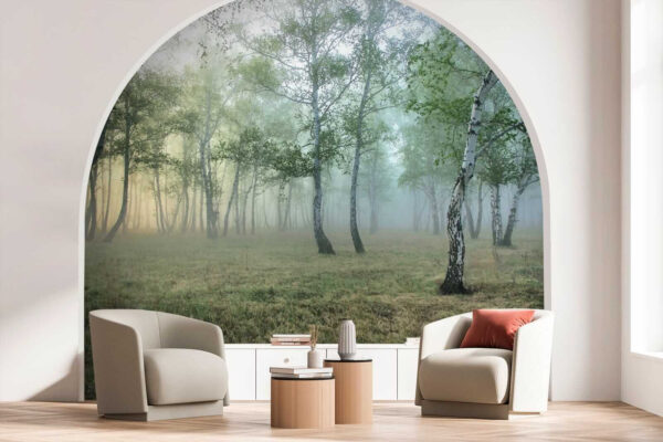 Bosque brumoso con árboles Bosque brumoso con árboles