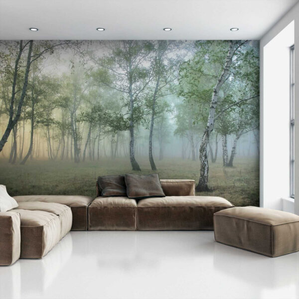 Bosque brumoso con árboles Bosque brumoso con árboles