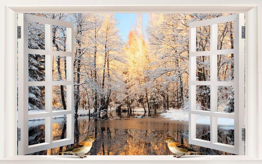 Ventana con pájaros mirando a un lago