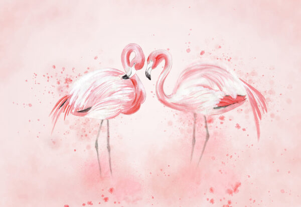 Dos flamencos uno al lado del otro Dos flamencos uno al lado del otro