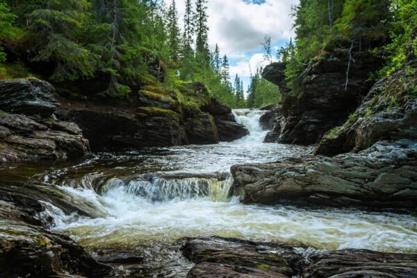 Río con rocas y árboles Río con rocas y árboles
