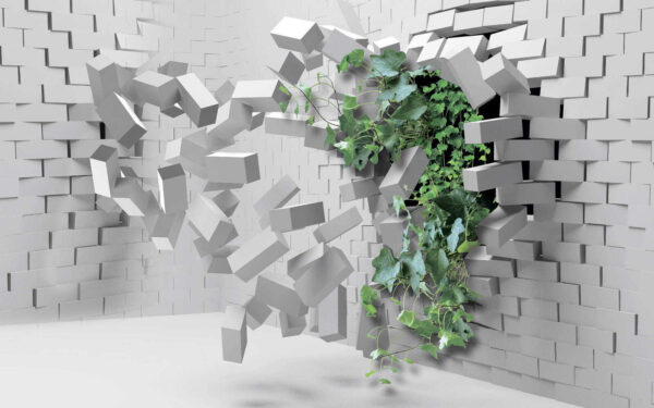 Planta que atraviesa un muro Planta que atraviesa un muro