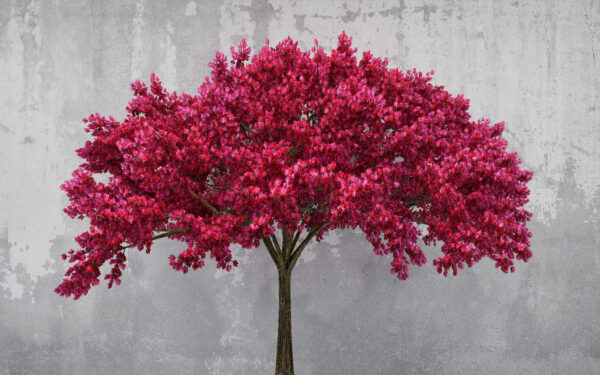 Árbol con flores rosas Árbol con flores rosas