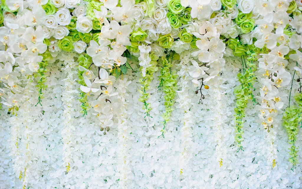 Muro de flores y enredaderas Muro de flores y enredaderas
