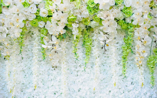 Muro de flores y enredaderas Muro de flores y enredaderas