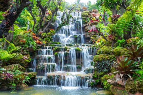 Cascada en un jardín tropical Cascada en un jardín tropical