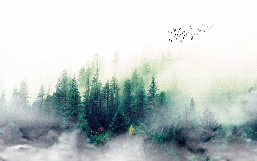 Pájaros volando sobre un bosque Pájaros volando sobre un bosque