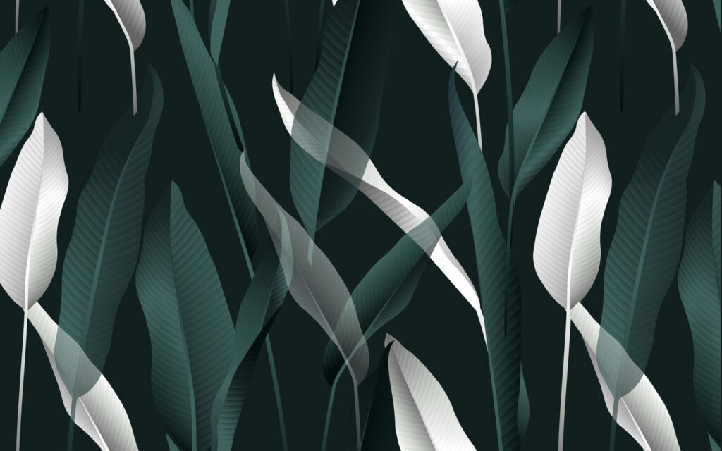 Elegant leaves on a dark backdrop Elegant leaves on a dark backdrop