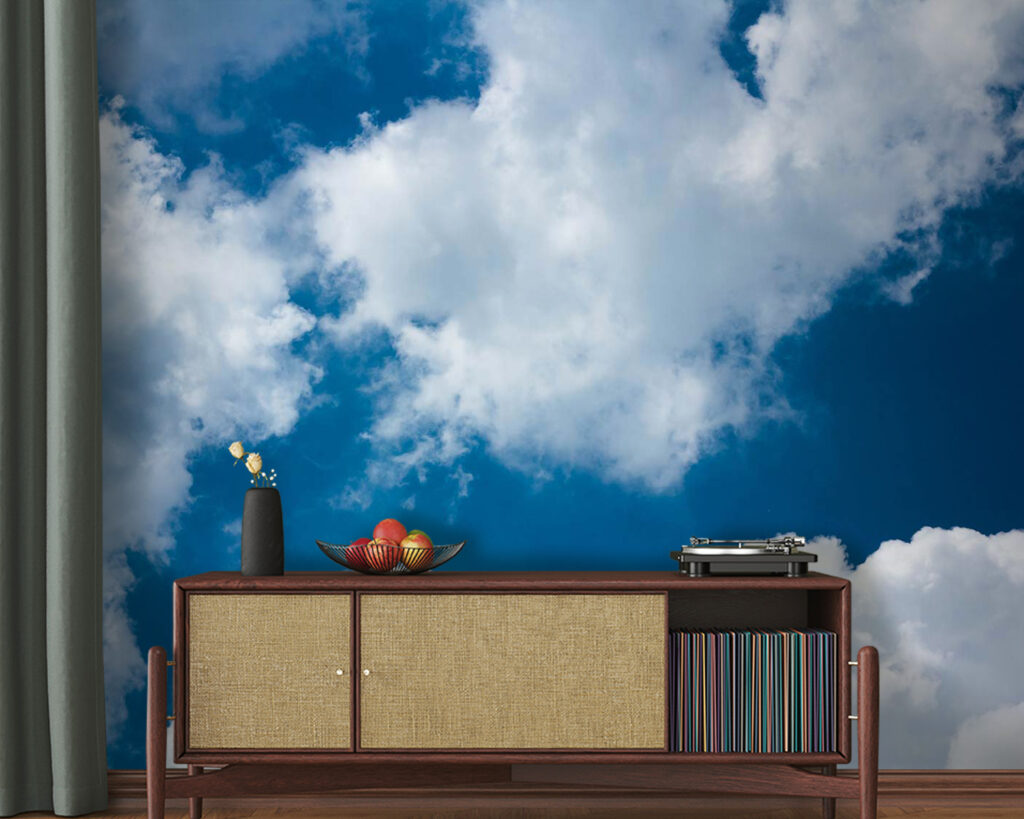 u08651pig20m 1024x819 - Cielo azul con nubes - tegory