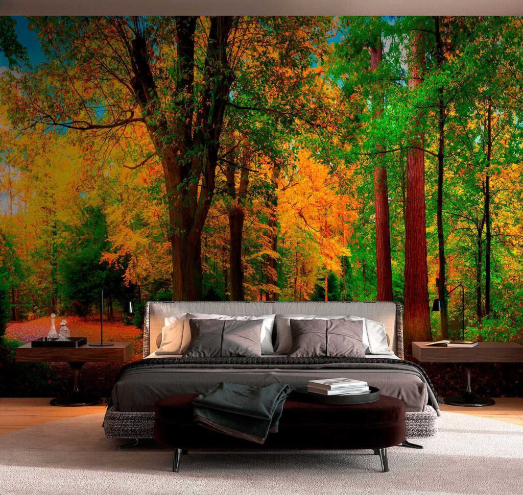 Path with trees and leaves on it