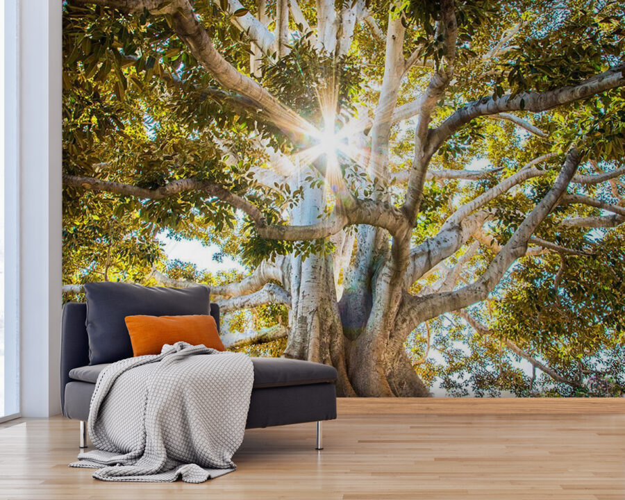 Árbol majestuoso bajo un sol radiante