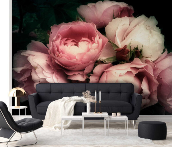 Grupo de rosas rosas y blancas Grupo de rosas rosas y blancas