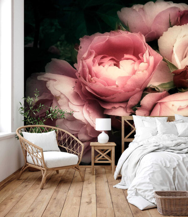 Grupo de rosas rosas y blancas Grupo de rosas rosas y blancas
