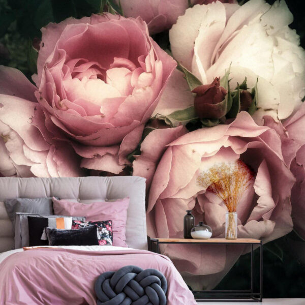Grupo de rosas rosas y blancas Grupo de rosas rosas y blancas