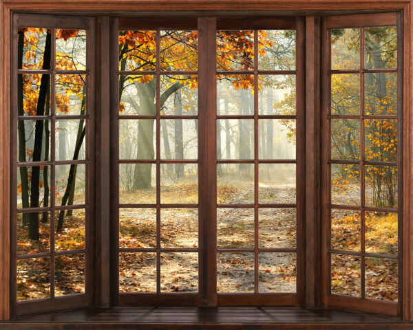 Ventana con árboles y un camino a través de ella Ventana con árboles y un camino a través de ella
