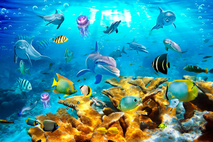 Grupo de peces nadando en el agua
