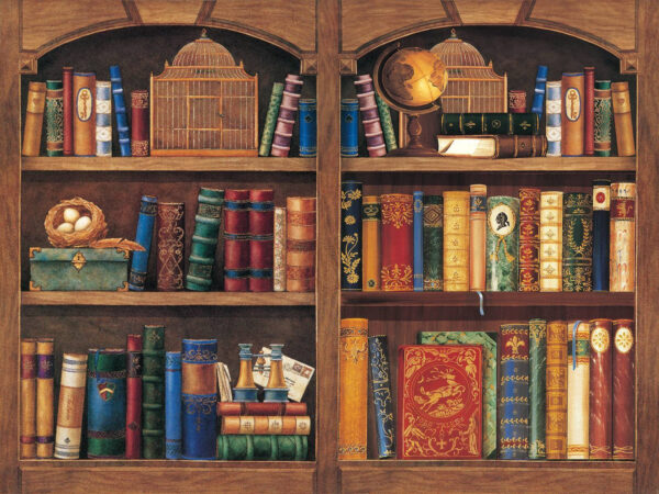 Estantería llena de libros Estantería llena de libros