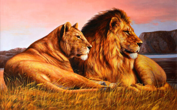 Pareja de leones tumbados en la hierba Pareja de leones tumbados en la hierba