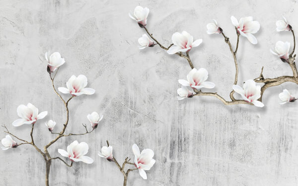 Flores blancas sobre fondo blanco Flores blancas sobre fondo blanco