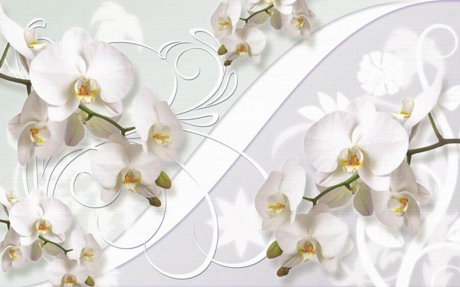Delicadas orquídeas en tonos suaves