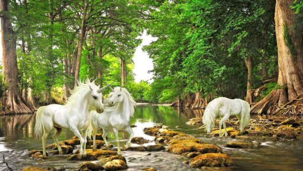 Grupo de unicornios blancos en un río Grupo de unicornios blancos en un río