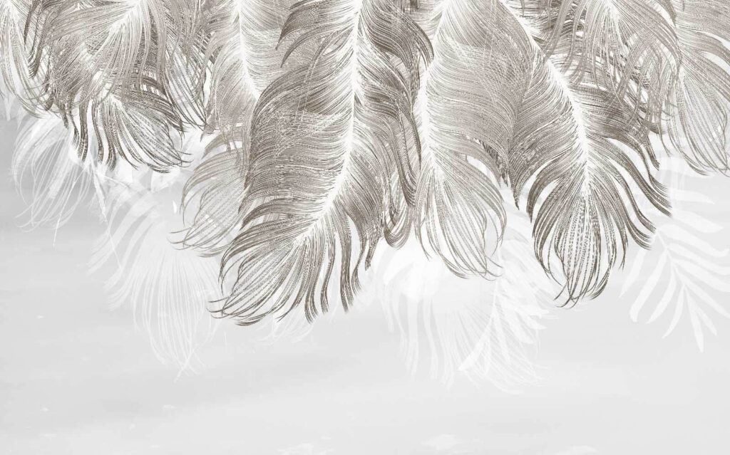 Delicadas plumas en tonos suaves Delicadas plumas en tonos suaves